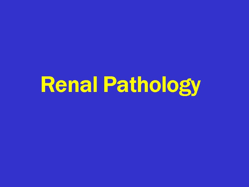 Renal Pathology